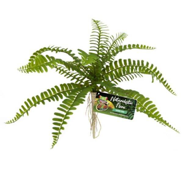 Zoo Med; Sword Fern