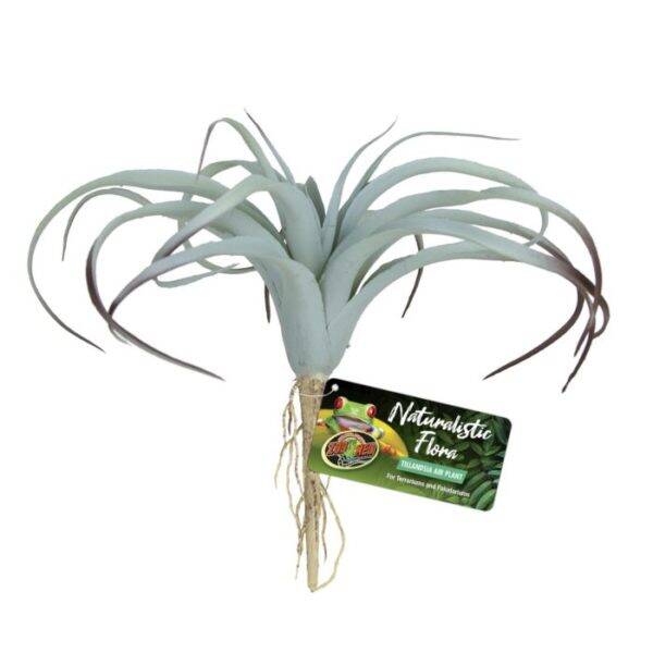 Zoo Med; Tilandsia Air Plant