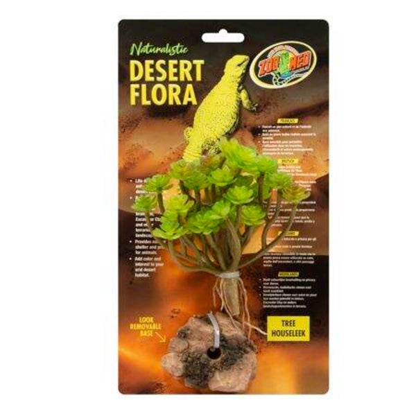 Zoo Med; Tree Houseleek