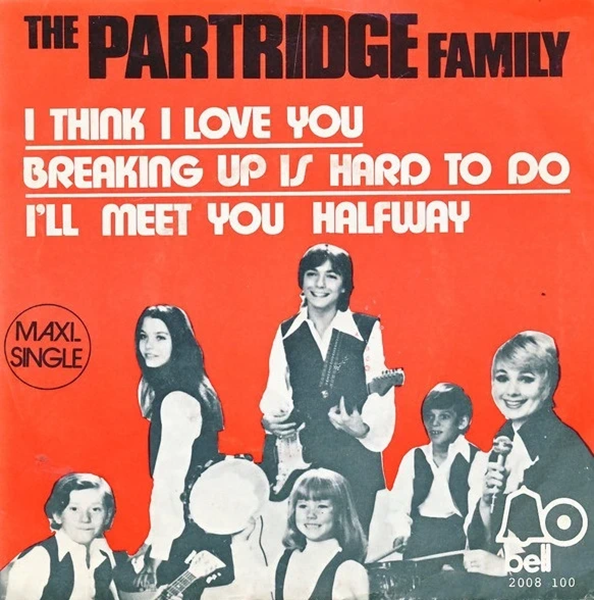 The Partridge Family – I Think I Love You