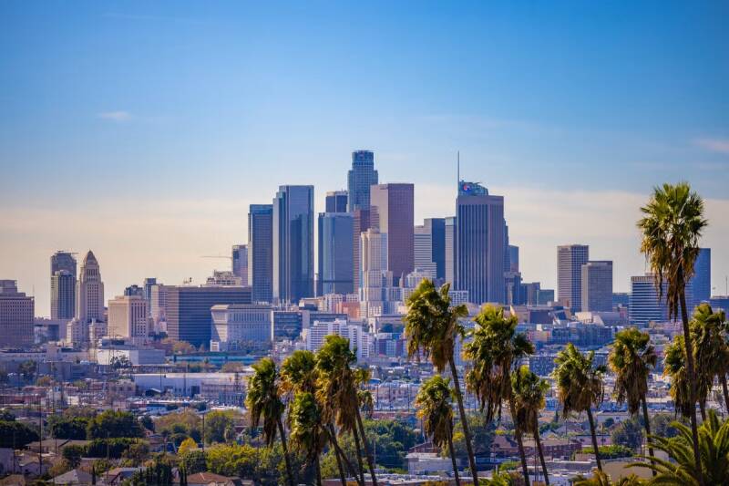 Skyline van Downtown Los Angeles met palmbomen