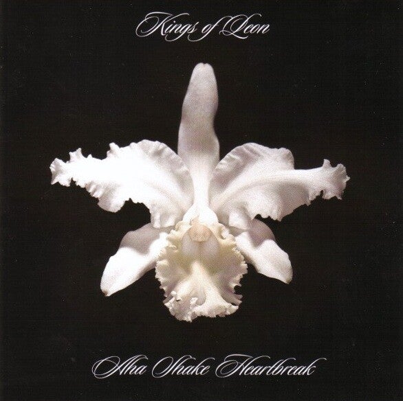 Kings Of Leon – Aha Shake Heartbreak