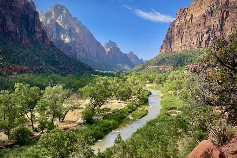 Zion National Park met rode rotswanden en groene vallei in Utah