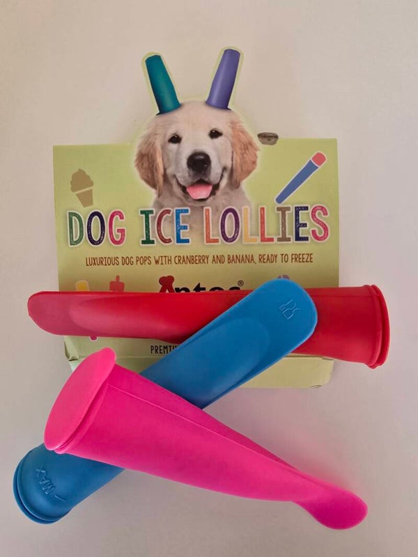Eis Lollis für Hunde