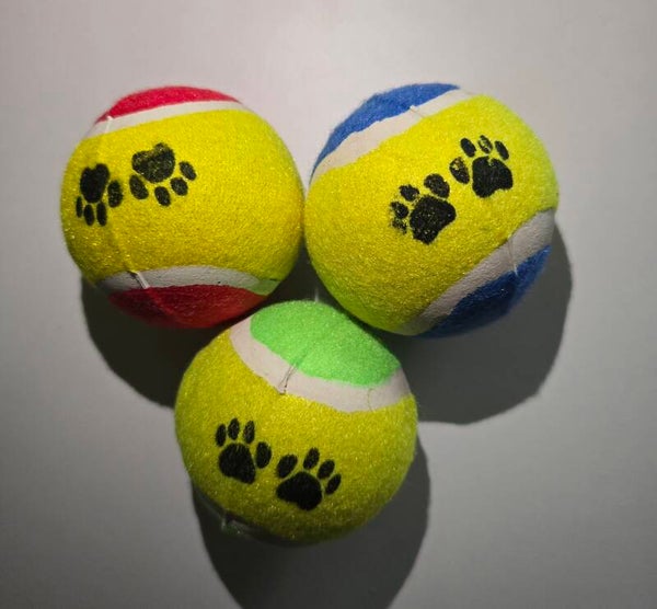 Tennisbälle mit Pfoten Design