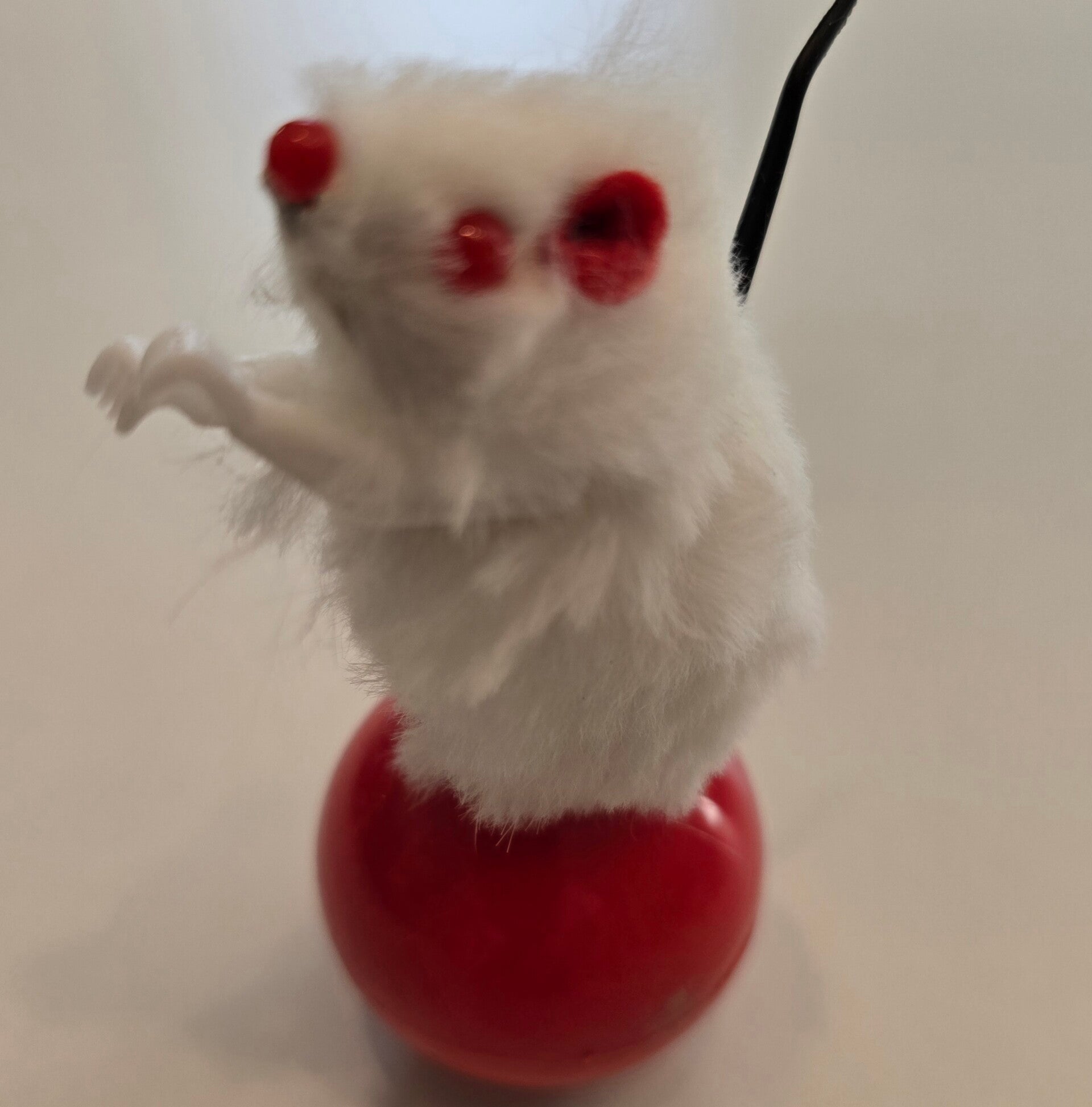 Schaukelnde Maus Katzenspielzeug