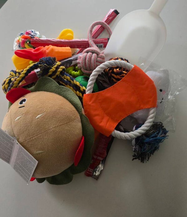 Schaufelbox Hundeglück