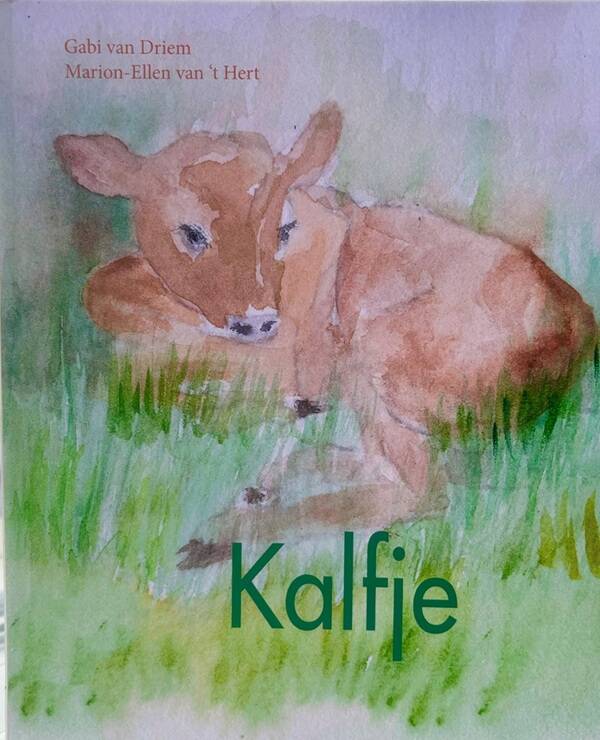 Kalfje