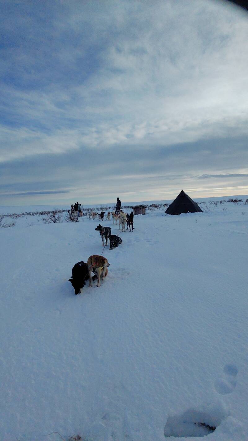 Campement bivouac. 