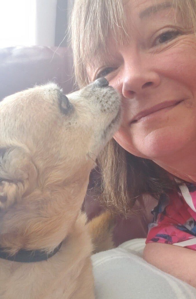 Dogs giving person Kiss