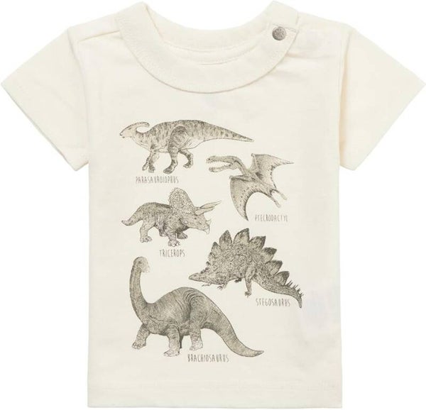 *Noppies Boy Tee Momence short sleeve (Maat 68)