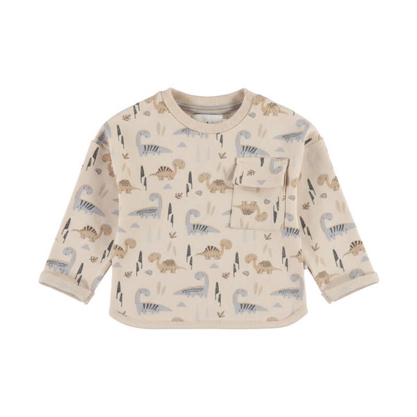 Dirkje jongens sweater beige dino zakje (Maat 56)