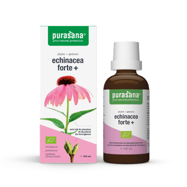 Echinacea Forte+