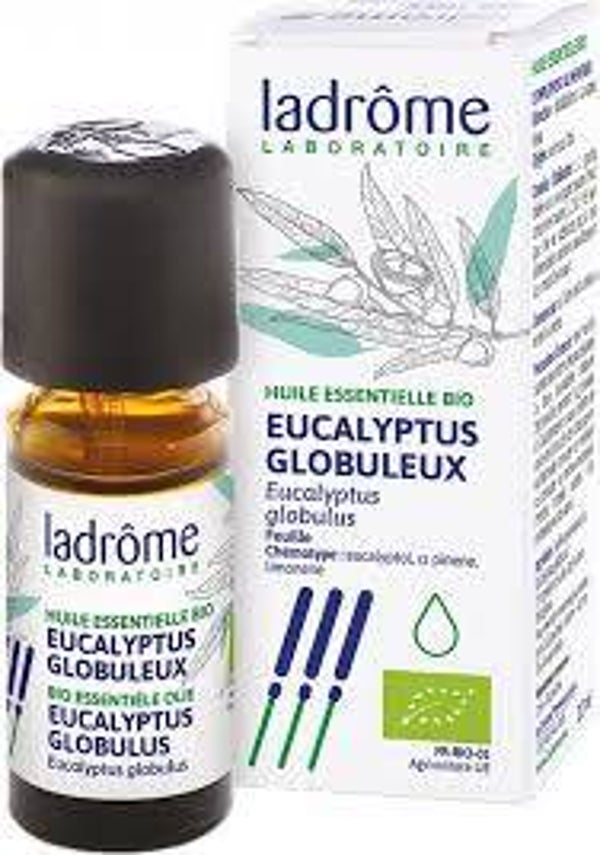 Etherische Olie Eucalyptus globulus