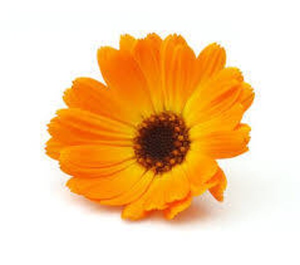 Calendula olie