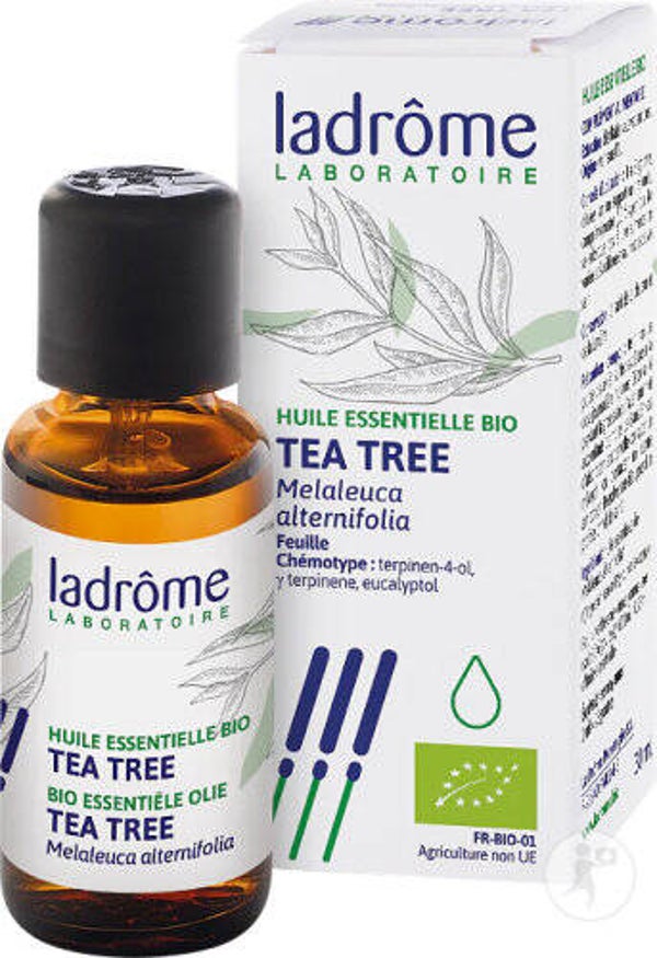 Tea tree