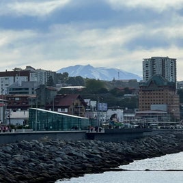 01d089da-ebc7-4920-83ce-e5e39bce8754-standard.jpg