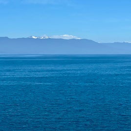 ef293cb1-f1cb-4d09-a8f1-09d604e24dea-standard.jpg