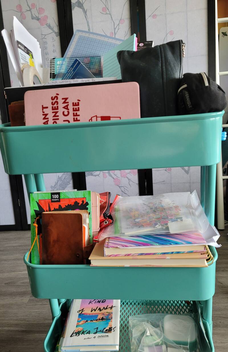 Hobby Health Cart for a disabled chronically ill homebound person. Journals, art supplies, library books,