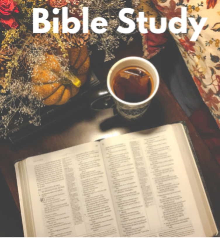 Bible Studies