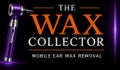 The Wax Collector