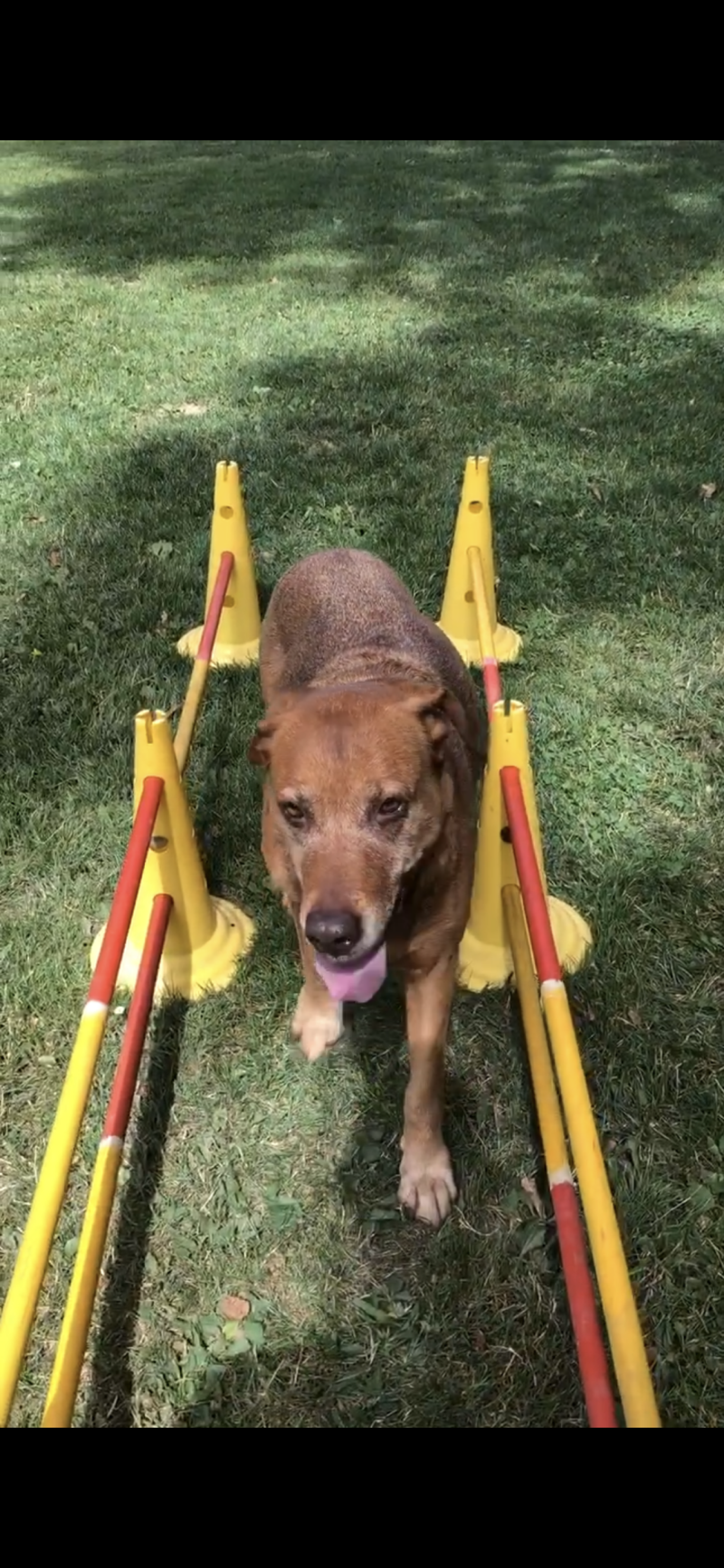 Outdoortraining Rückwärtslaufen