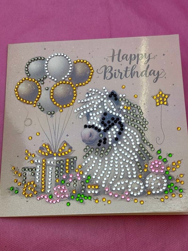 Anniversaire (poney)