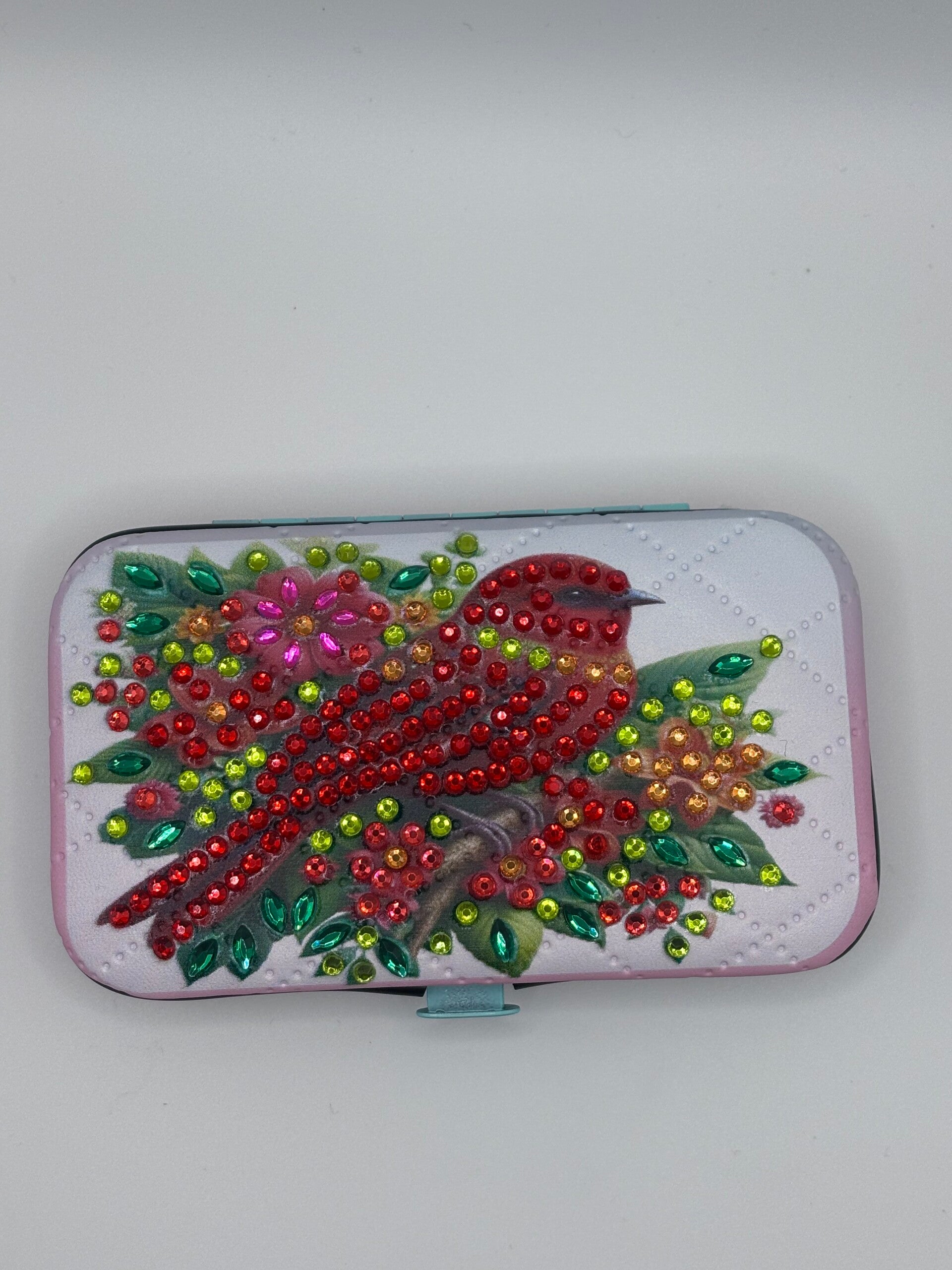 Set de manucure oiseau rouge