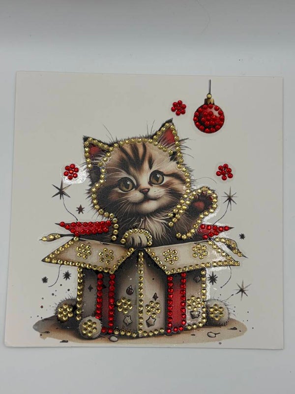 Noël (chat)