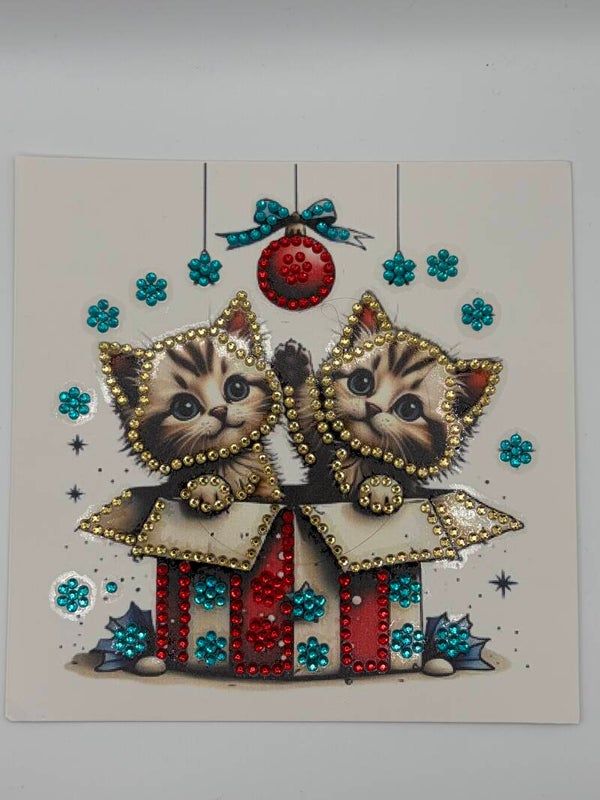 Noël (chats)