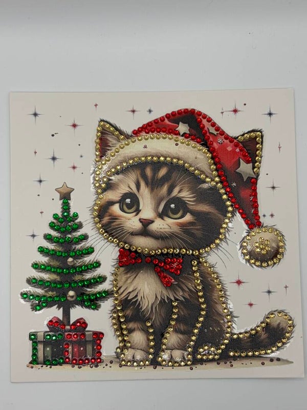 Noël (chat)