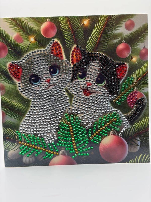 Noël (chats)