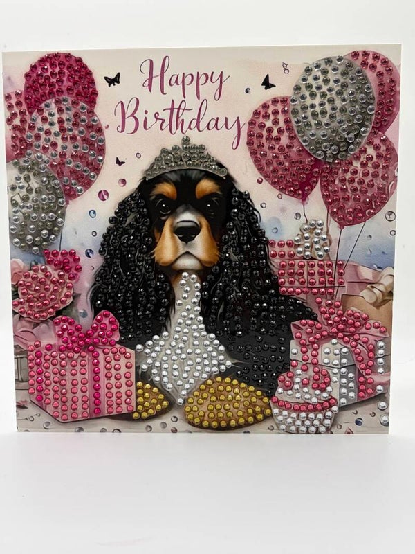 Anniversaire chien (cavalier King) 108