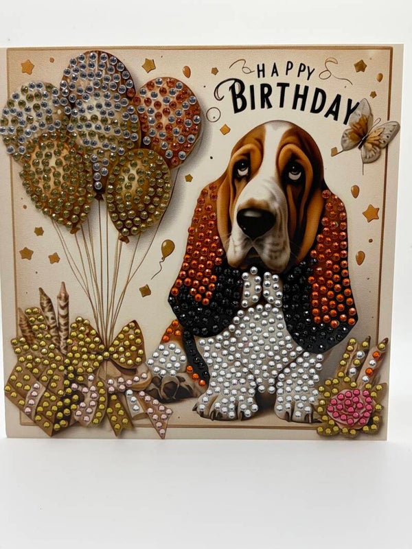 Anniversaire chien (basset) 103