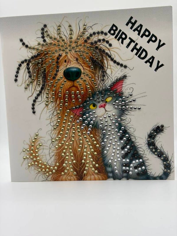 Anniversaire (chien et chat)