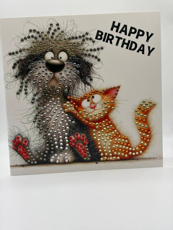 Anniversaire (chien et chat)