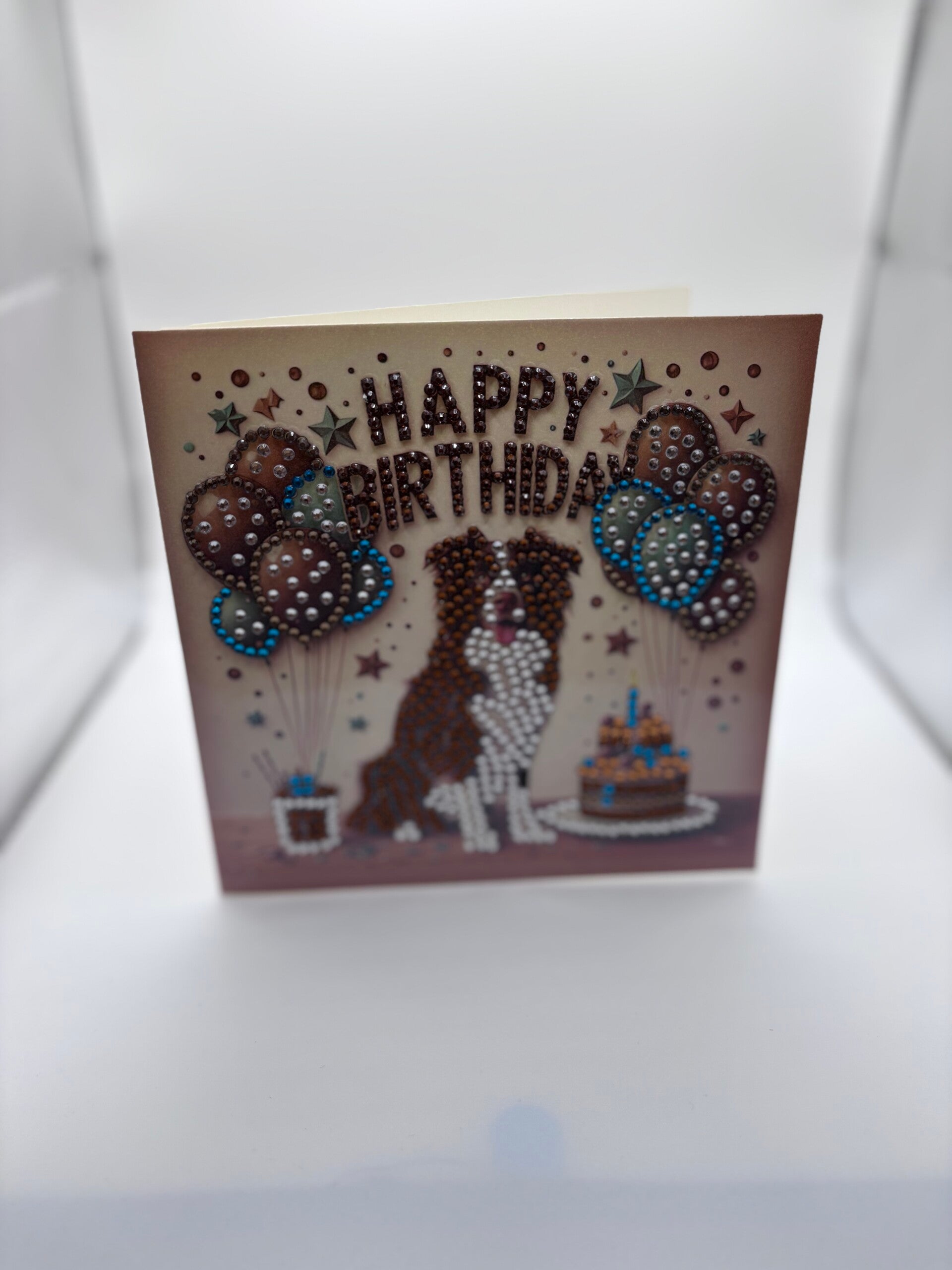 Anniversaire (chien)