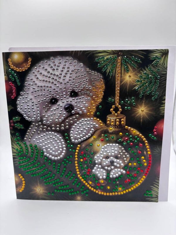 Noël (chien Caniche)