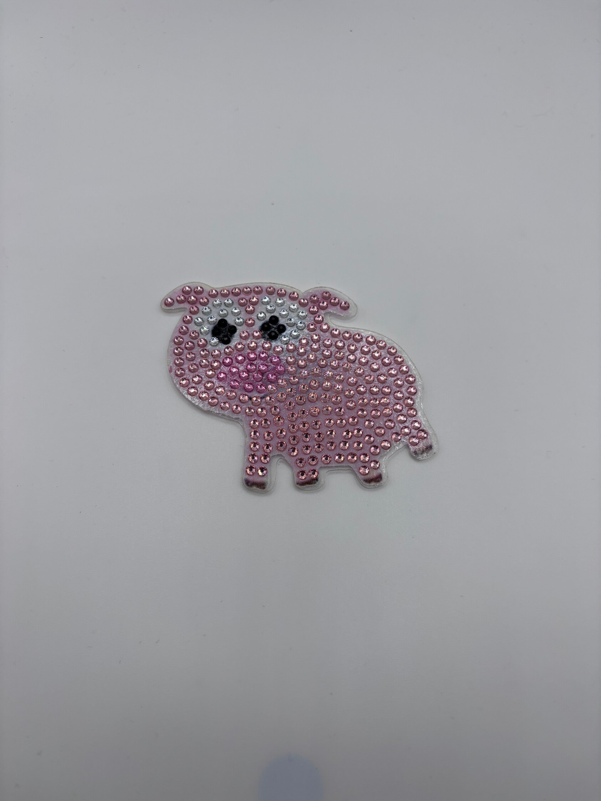 Magnets cochon