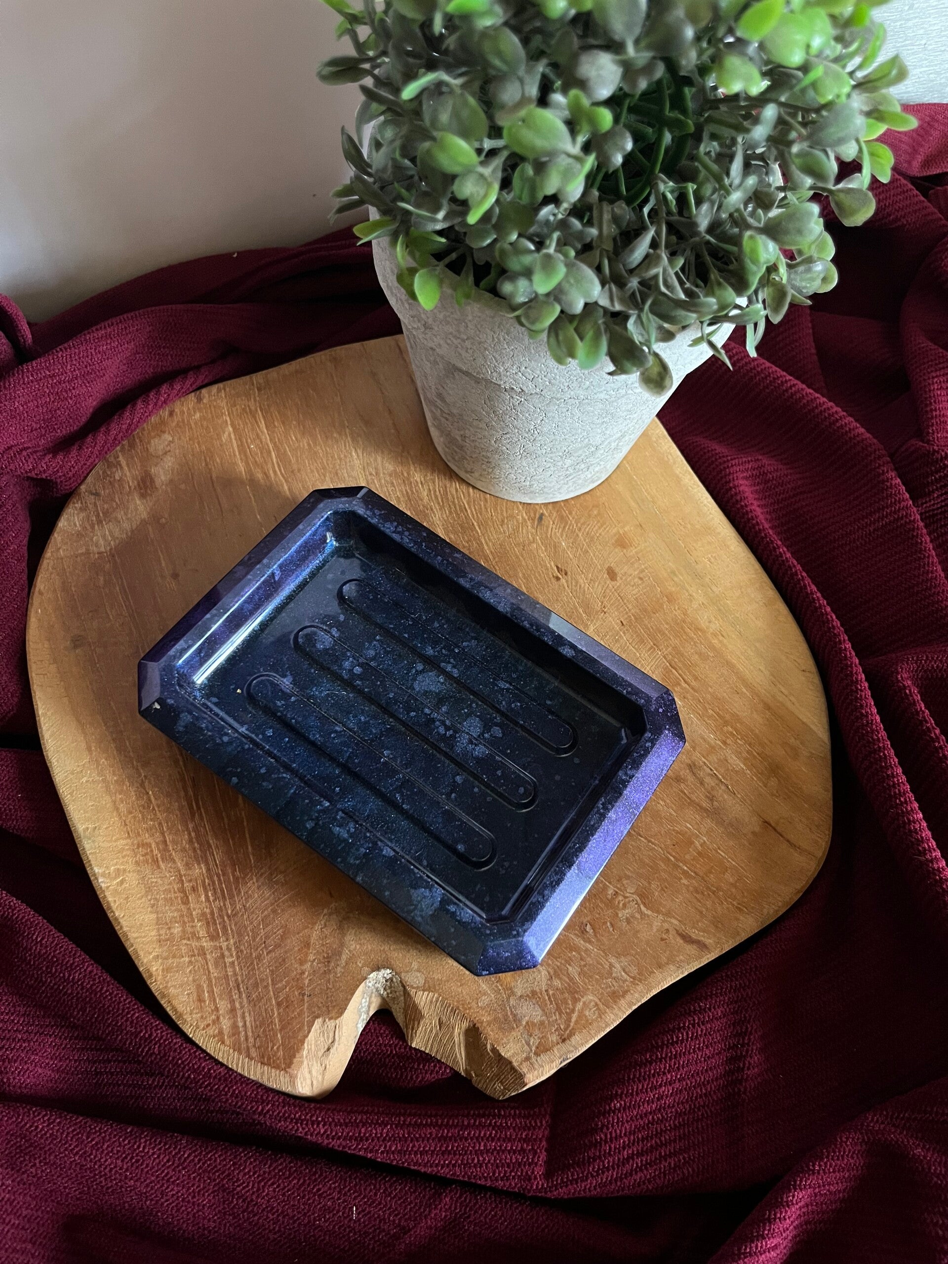 Porte savon Caméléon