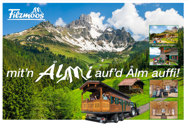ALMI - mit Hund als Begleitung