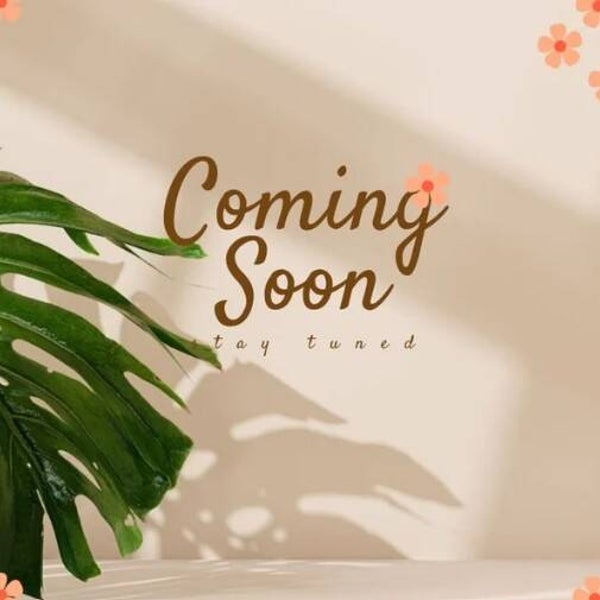 Single Chocolate Rose