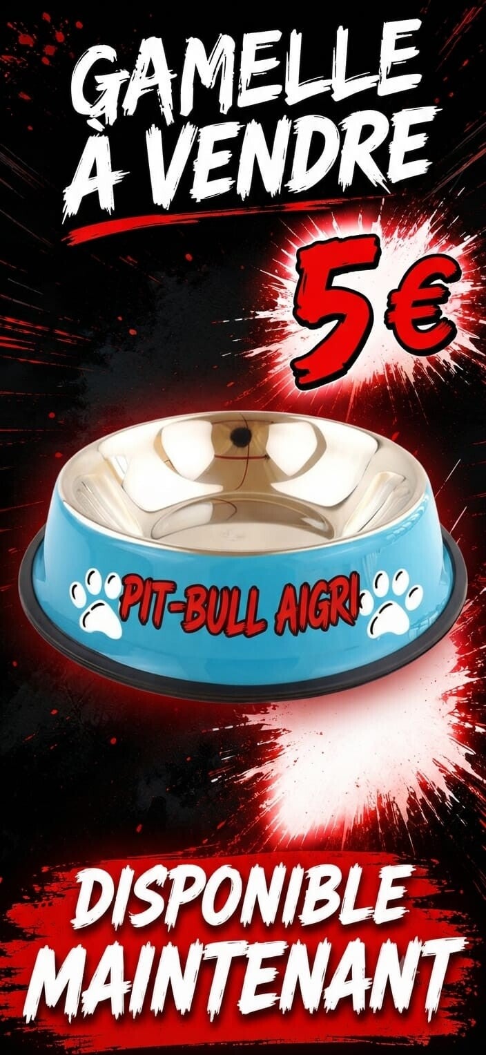 Gamelle pour chien