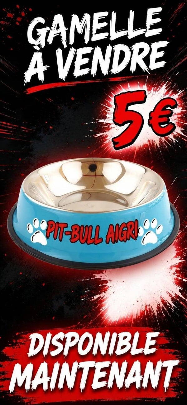 Gamelle pour chien