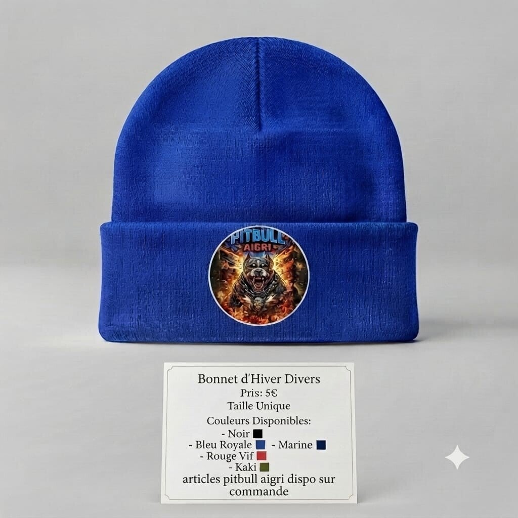 Bonnet d hiver
