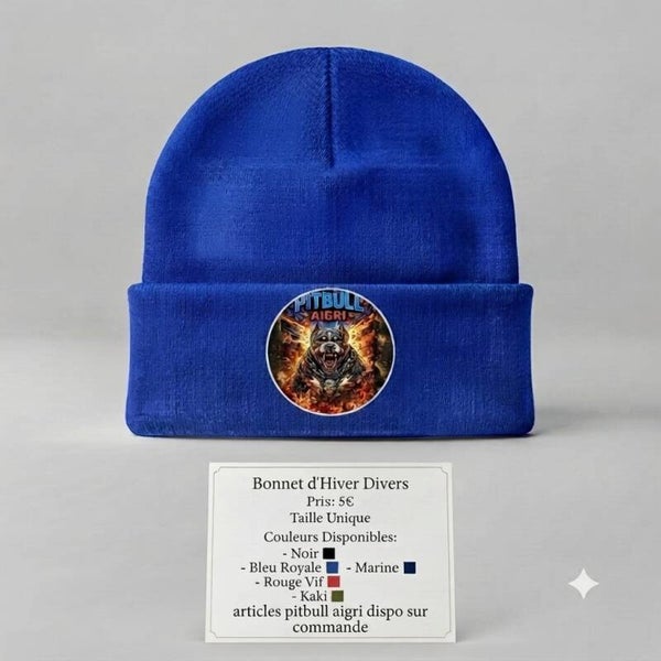 Bonnet d hiver