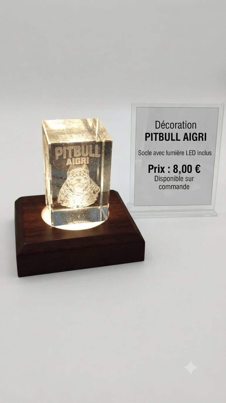 Decoration pitbull aigri