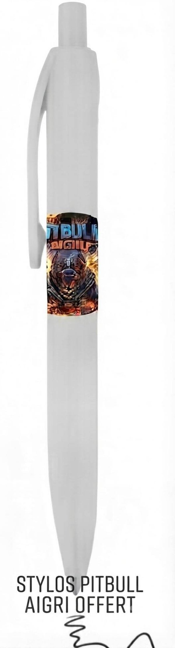 Stylo bic