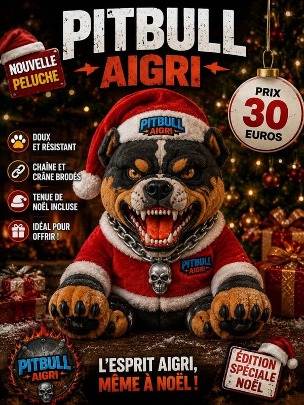 Peluche de noel