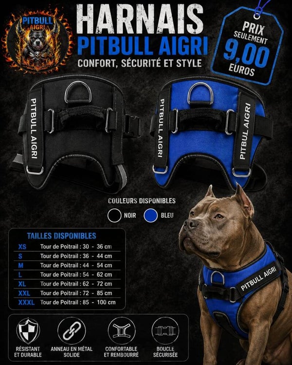 Harnais pour chien